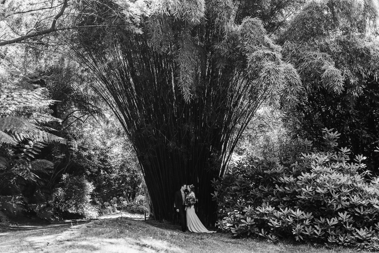 Arianna Fenton Wedding Photographer Cornwall - 68